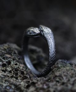 EYHIMD Gothic Stainless Steel Two Gothic Snake RingWomen Adjustable Jewelry
