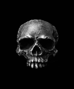 Mens Boys Vintage 316L Stainless Steel Rugged Skull Rings Fashion Punk Party Biker Jewelry